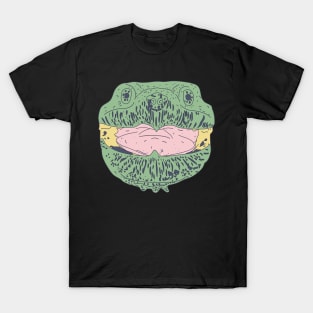 Snapping Turtles - Trippy Weird Turtle - Chelydridae T-Shirt